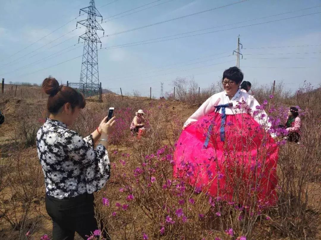 中国和龙第十届长白山金达莱国际文化旅游节,首日迎游客13.5万人次