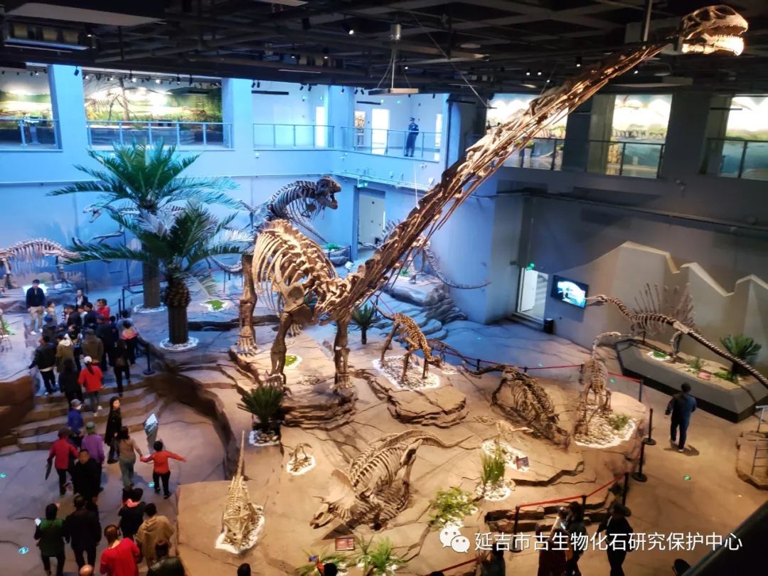 【携程攻略】北京北京自然博物馆景点,博物馆里分几个展区，恐龙有专门的展区，还有一个恐龙公园，模仿真恐…