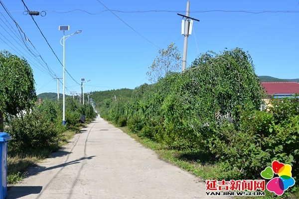 支边村村路支边村广场三道湾镇支边村位于延吉市北端,距延吉市75公里