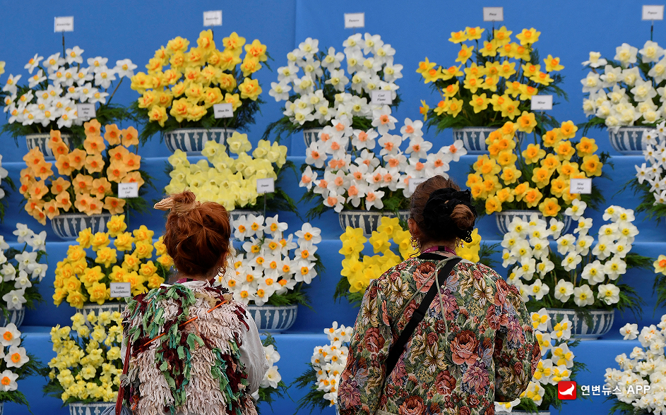 [지구촌은 지금] 영국 런던 첼시 꽃 박람회 이모저모 